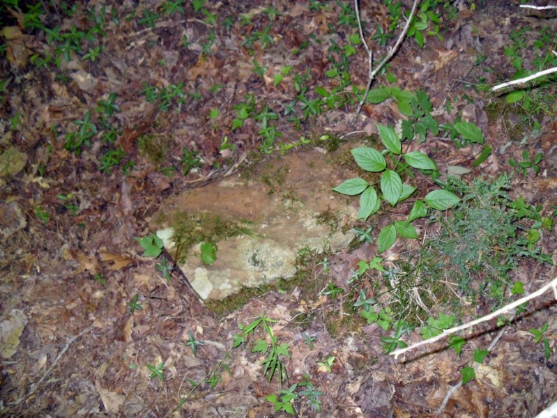 Hanging of the banners