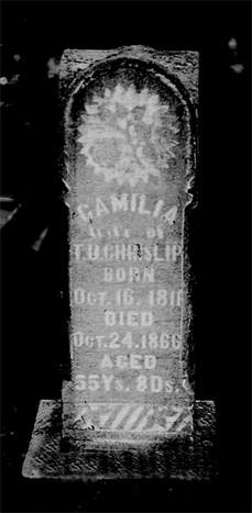 Camilla Wilson - Graestone
