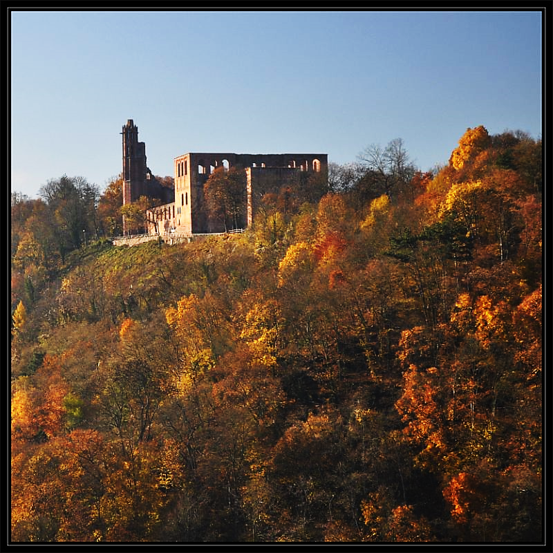 Limburg Ruins