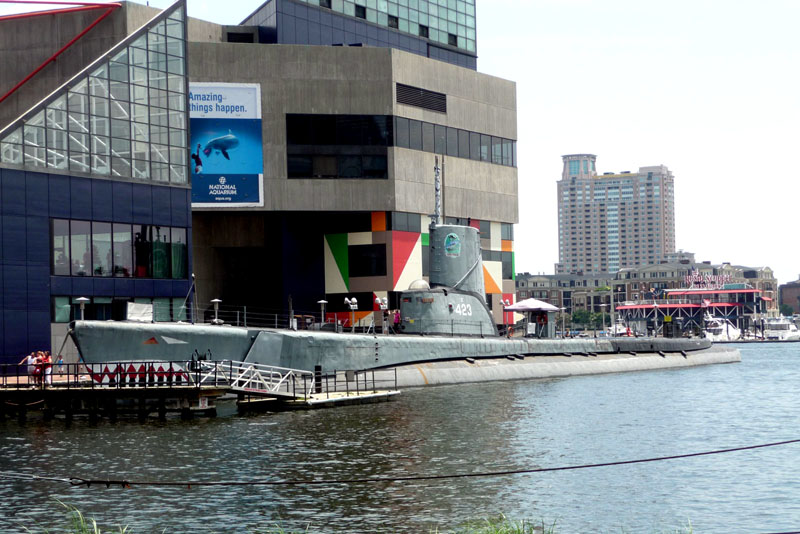 Hanging of the banners
